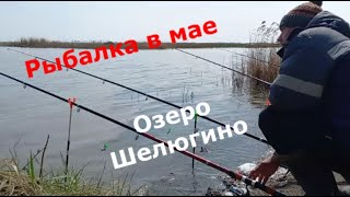 Рыбалка 1 мая 2023г. Озеро Шелюгино.