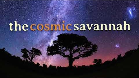 Episode 37: Square Kilometre Array Telescope is go for construction!