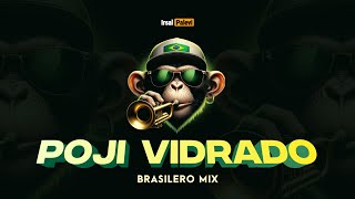 POJI VIDRADO (Brasilero Mix)🎺🇧🇷 Irsal Palevi