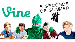 Best 5 Seconds Of Summer Vines