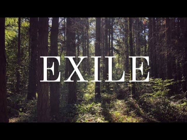 Taylor Swift - Exile (Lyrics) feat. Bon Iver