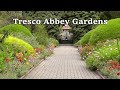 Enjoy Relaxing Bird Sounds at Tresco Abbey Gardens on The Isles of Scilly ONE HOUR