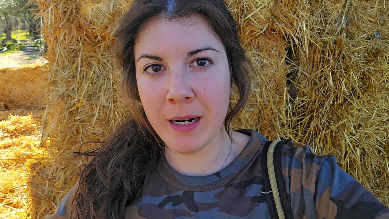 Los caprichos con los animales salen caros, aquí la prueba