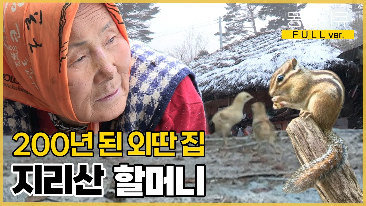 [풀버전] 200년 된 외딴 집에서 나 홀로..🛖 지리산 할머니에게 새 식구가 생겼다! | 채옥 씨의 지리산 연가 | KBS 인간극장 2017 방송