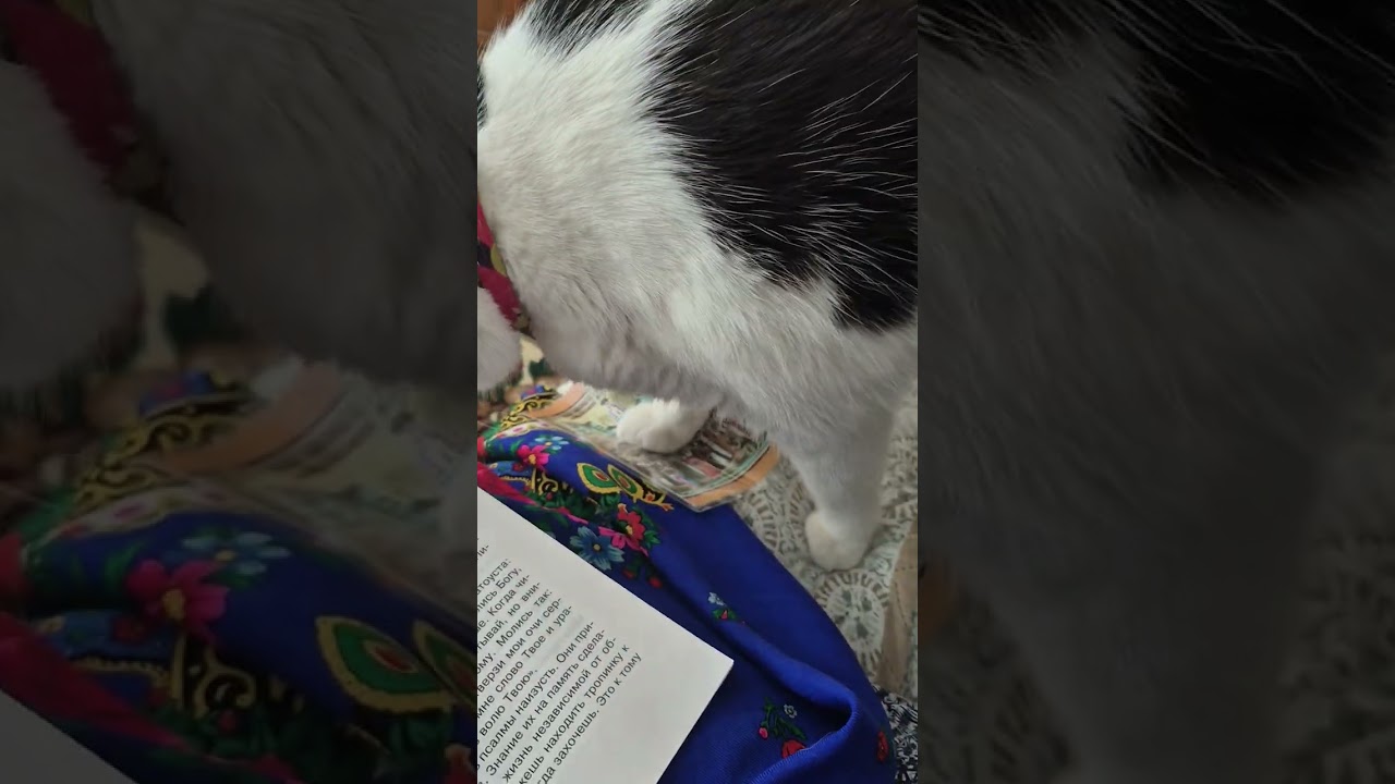 Псалтирь для детей.  Часть 1