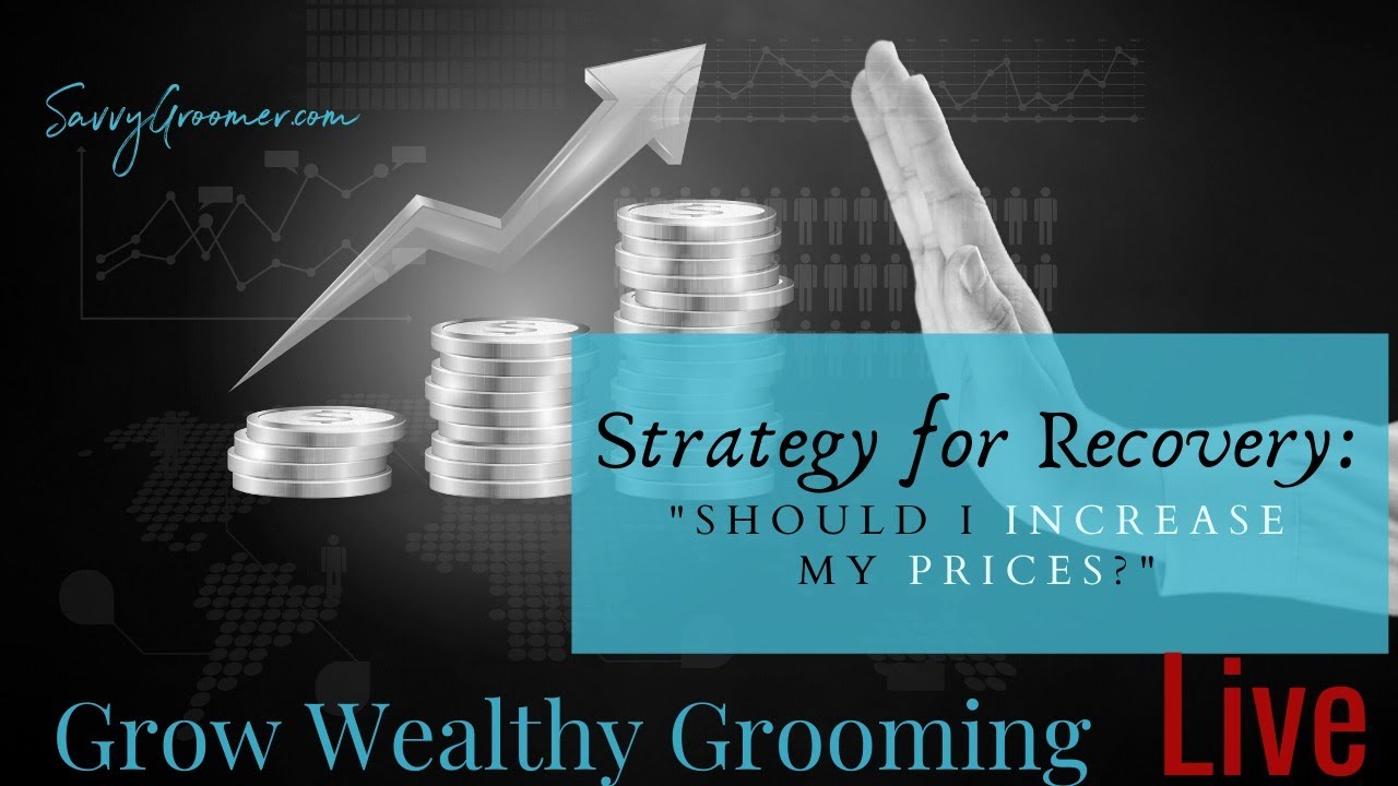Should I Increase my Prices? YouTube
