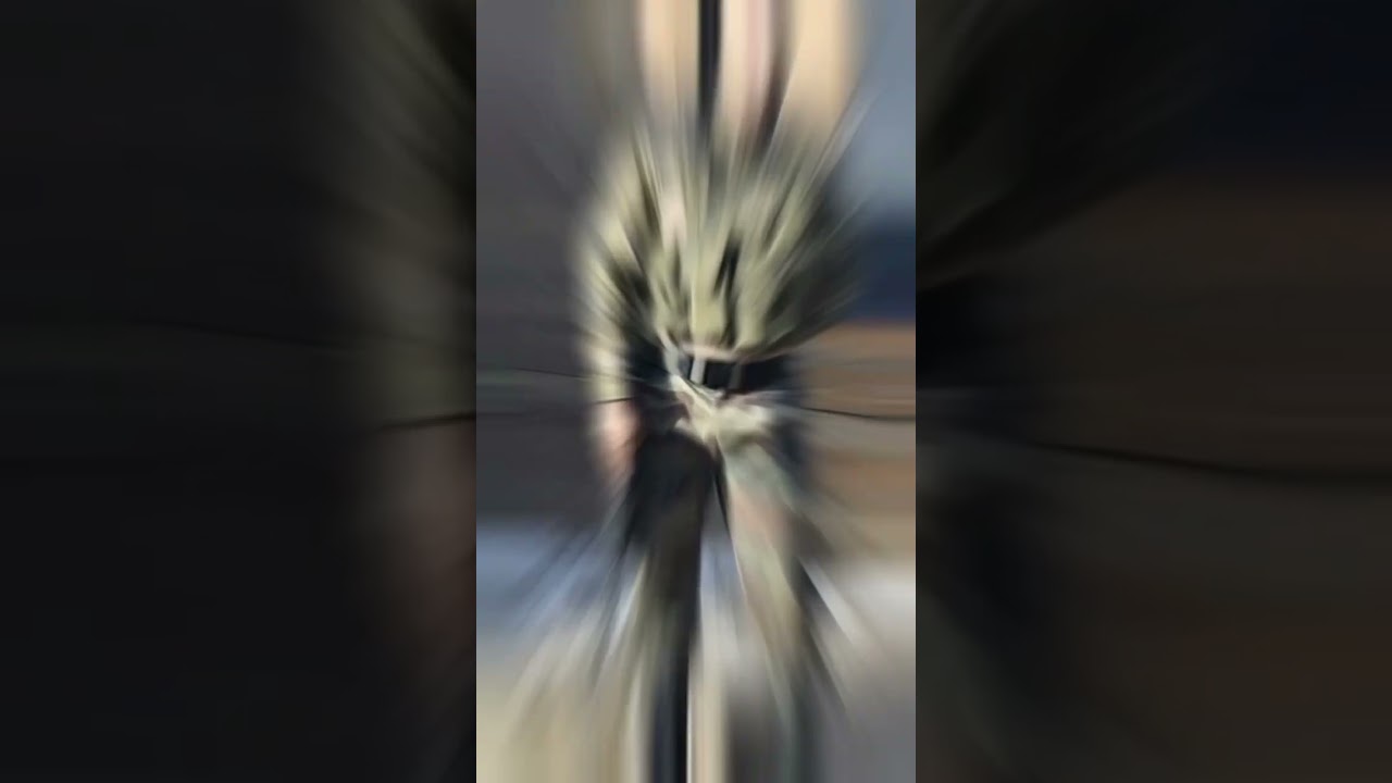 ms dhoni army uniform and gun status 