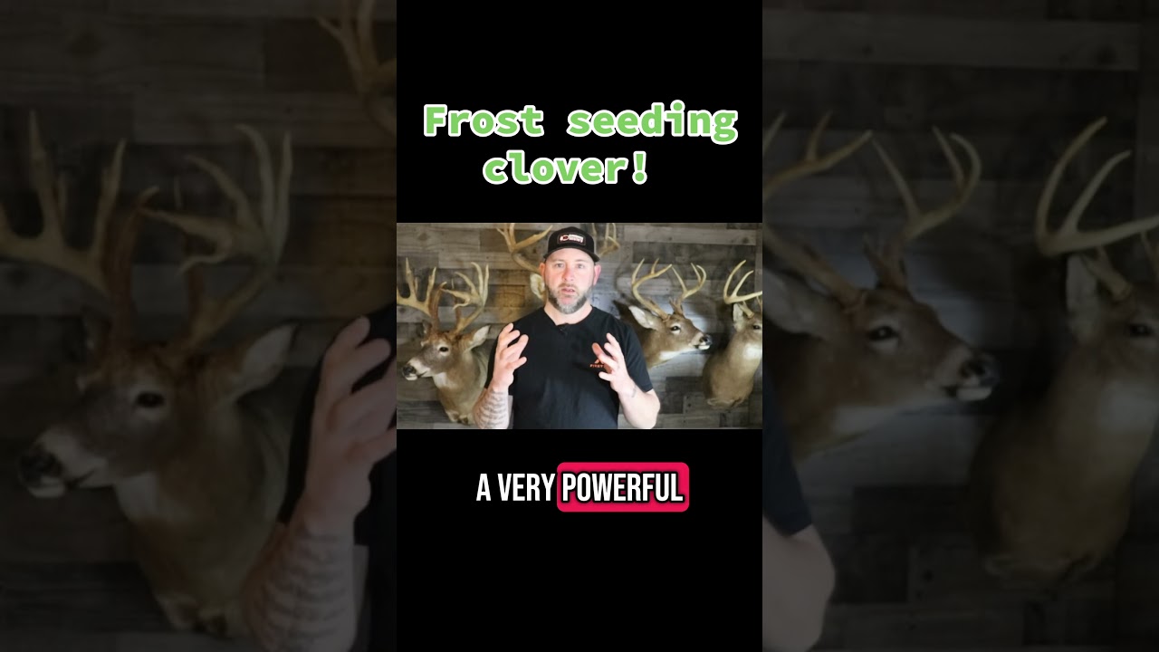 Frost seeding clover! Almost that time! 