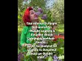 вќ рџ Ф ХЊХ Х Х Ф ХђХ Х Х Х Х Ф ХђФ Ф Х ХЋФ ХЂФ Х Х Ф Х Ф ХЂФµХЏ рџ вќ вќ рџ Ф ХЊХ Х Х Ф ХђХ Х Х Х Х Ф ХђФ Ф Х ХЋФ ХЂФ Х Х Ф Х Ф ХЂФµХЏ рџ вќ