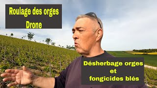 Roulage des orges Drone - Maman canard - Traitement vigne et cultures