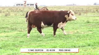 TerraGarba   PR Lote 8A