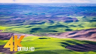 4K Nature Documentary "Beautiful Washington". Episode 6 - Trailer