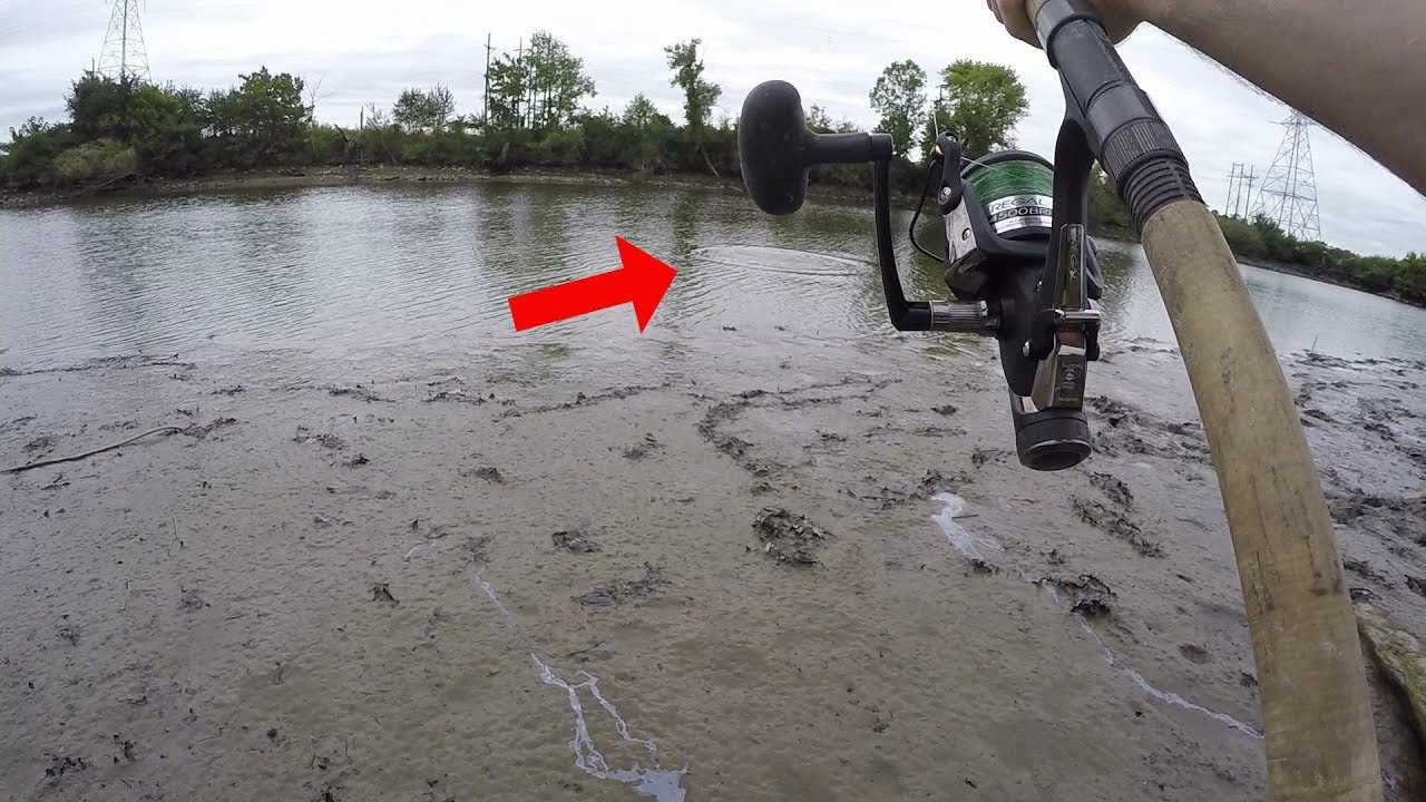 how to catch catfish in texas Fishing for THE BIG ONE in a RISKY Mudpit (Ft. Top-Tactic Fishing)