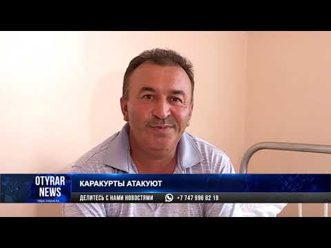 "Я думал уже все...": пострадавший от укуса каракурта рассказал, что чувствовал