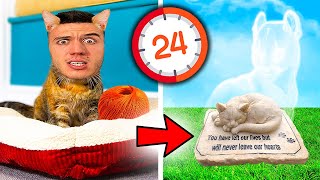 видео: ЖИВЕЯ И УМИРАМ КАТО КОТКА ЗА 24 ЧАСА | CAT LIFE SIMULATOR! картинка: ЖИВЕЯ И УМИРАМ КАТО КОТКА ЗА 24 ЧАСА | CAT LIFE SIMULATOR!