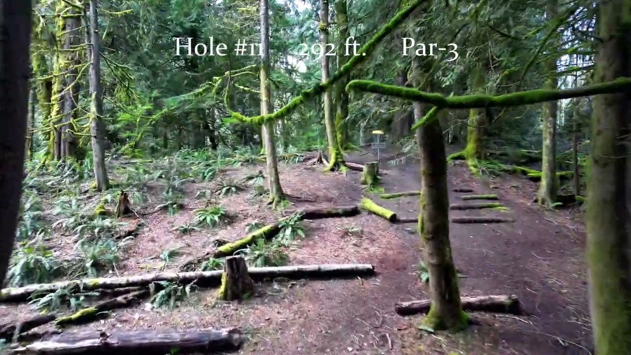 Mossy Roc Fly Through Winter Pins 2025