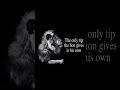 lion type beat