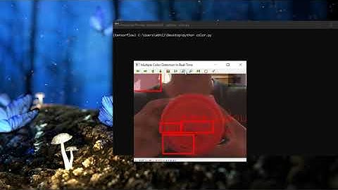 Task 5: Realtime color detection (RGB) using openCV