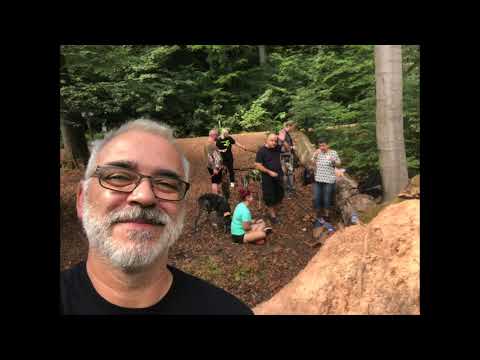 Hundewanderung im Urwald