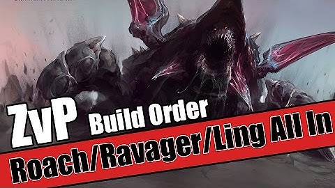Build Order Tutorial: ZvP Roach All In