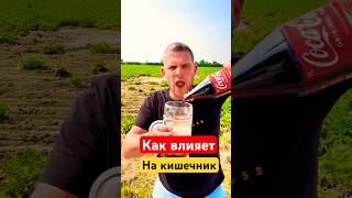 Кишечник #здоровье #вред #организм #питание#пп#вода#пробиотики #польза #пользаводы #кокакола #shorts