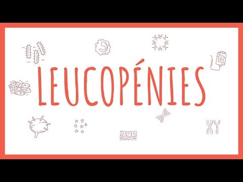 Vidéo: Qu'est-ce que cela signifie quand vous avez une leucopénie ?