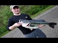New KY State Record Largemouth Bass - "14 pounds 9.5 ounces"