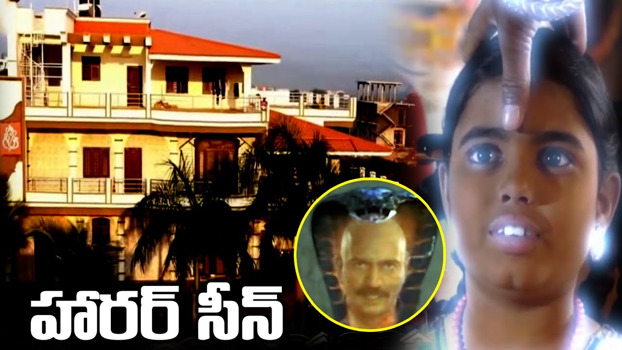 Arundhati Amavasya Latest New Horror Movie Scenes | Telugu Ultimate Ghost Movie Scenes