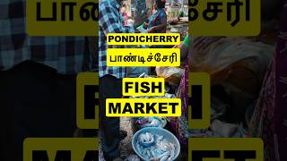 #pondicherry #puducherry #fish #market #travel #india #vlog #streetlife #lifestyle #tamil #culture