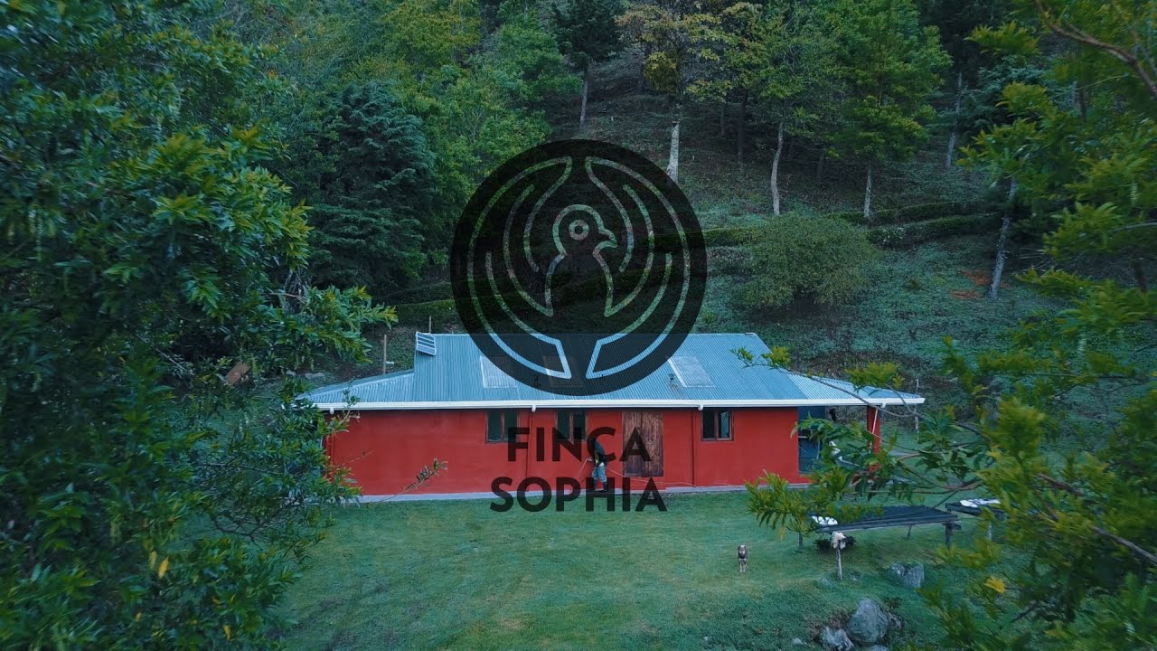 Finca Sophia - Equator Coffees