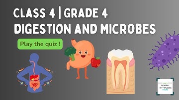 Class 4 Science - Digestion and role of Microbes Quiz | CBSE NCERT Syllabus worksheets olympiad