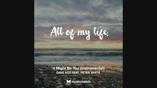 RTR - Dave Koz \u0026 Peter White - It Might Be You