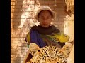 JINASA MADUKA HARUSI YA JILALA MADULU STUDIO MSAMBAJI NGOTA STUDIO 23 7 2025 JINASA MADUKA HARUSI YA JILALA MADULU STUDIO MSAMBAJI NGOTA STUDIO 23 7 2025