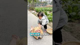 ¡Quién se ha robado mi carne!