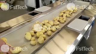 Automatic Potato Washing Peeling Cutting Production Line