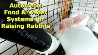 Our Rabbit Self Feeding and Watering Systems by a @GettinJunkDone