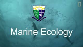 Intro to Marine Ecology - The Continental Shelf