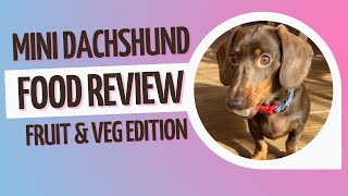 Mini Dachshund Food Review - Fruit and Veggies Edition