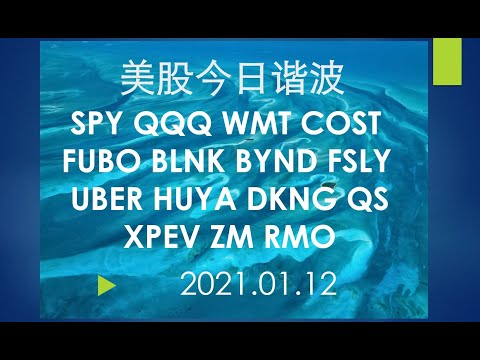 美股今日谐波图鉴20210112 SPY QQQ WMT COST FUBO BLNK FSLY UBER HUYA DKNG QS XPEV ZM RMO !