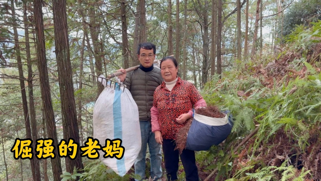 前几天连着下雨，山路又湿又滑，天气刚放晴，倔强的老妈又独自一个人上山捡松毛了，我们都很担心…以前也叮嘱妈妈不要一个人上山，她就是不听，总是闲不住