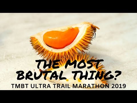 TMBT 2019 :