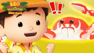 🦀 Is that the World's LARGEST CRAB?! 🦀 | NEW | 30 MIN | Leo the Wildlife Ranger | Kids Cartoons