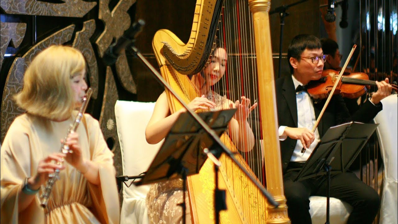Ed Sheeran’s Perfect - Harp, Flute & Violin Trio