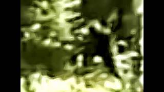 Paul Freeman clip with zoom