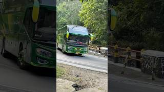 BUs pariwisata #telolet #busmania