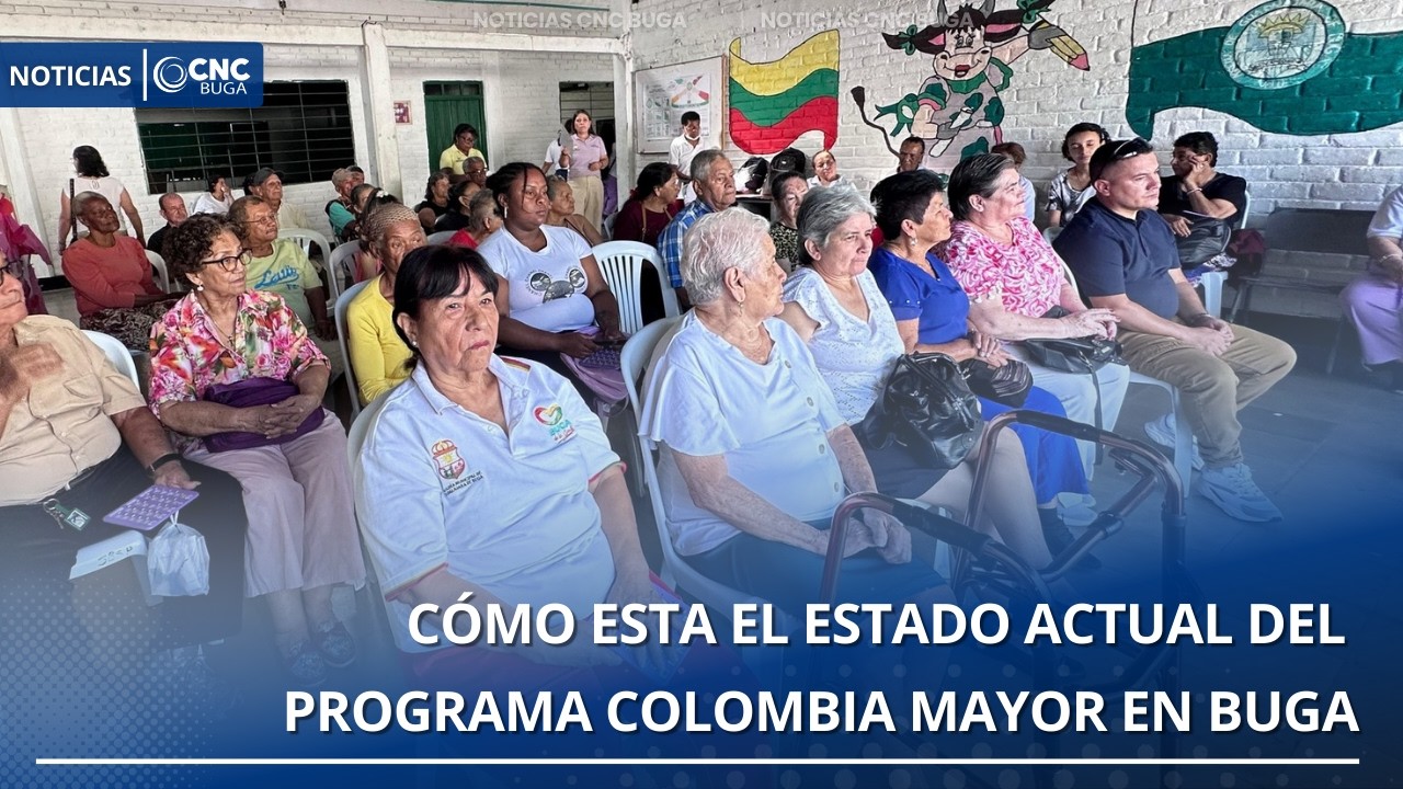 Estadoa actual del Programa Colombia mayor en Buga