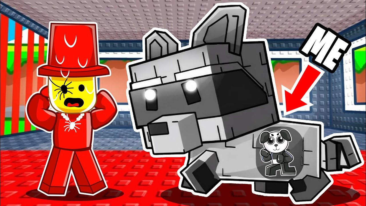 I BECOME RACCON IN STEAL A BRAINROT (HINDI)
