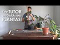 Este TUTOR mudará suas PLANTAS !