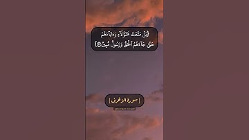 سورة الزخرف الآية ٢٩ الى ٣١ بصوت الشيخ محمد صديق المنشاوي