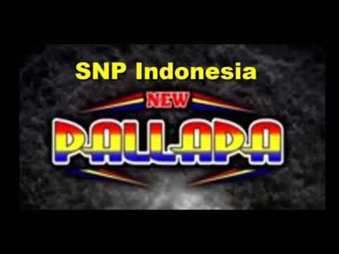New Pallapa Brodin Ft Ayu - Malam Terakhir